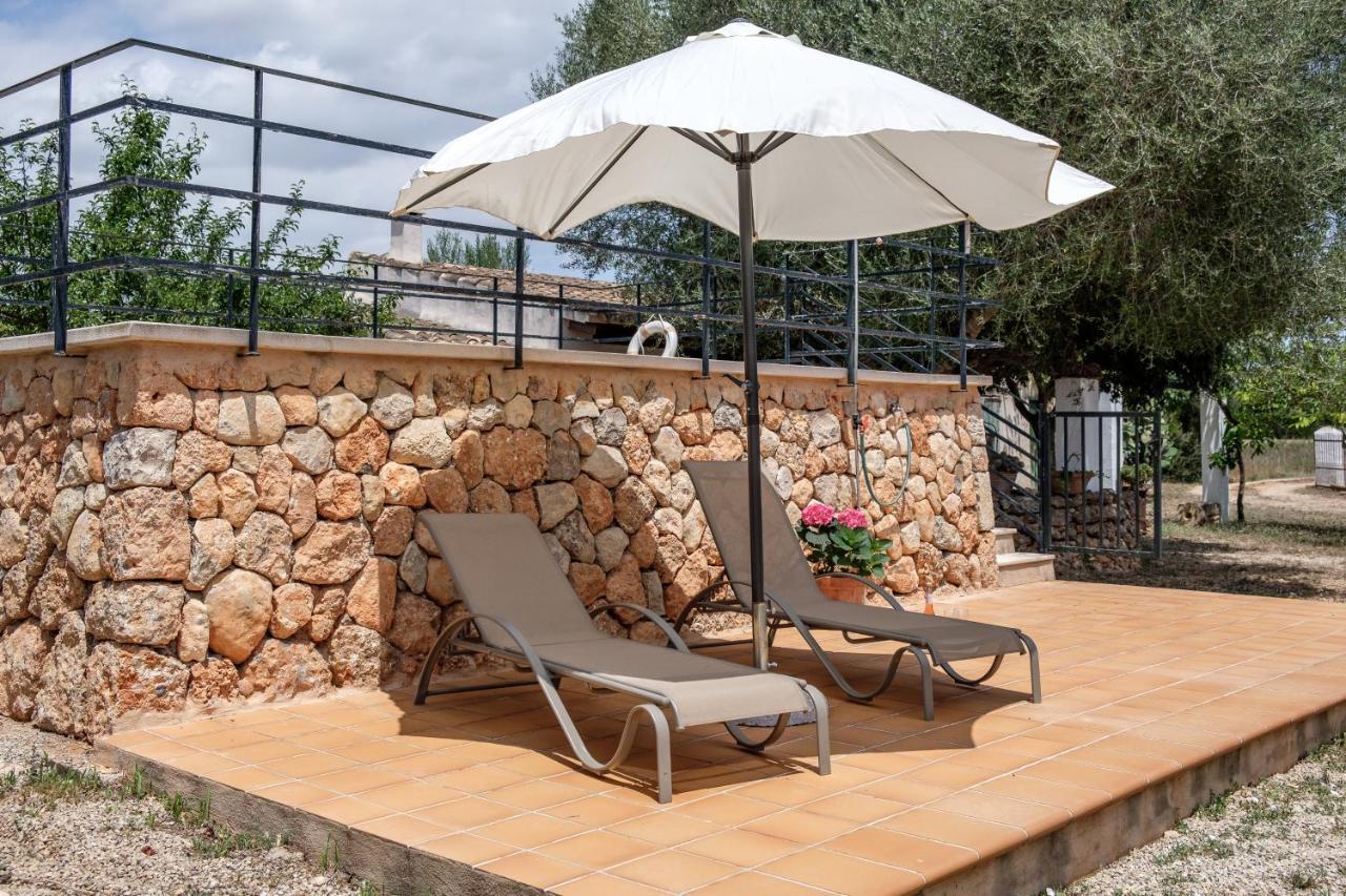 Bonita Sa Vinya Relax Y Piscina Privada Holiday home