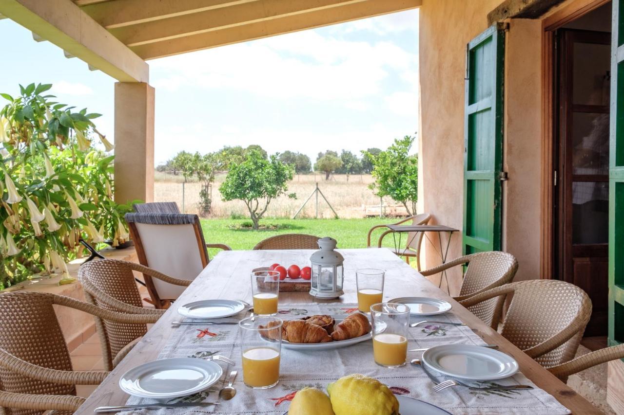 Bonita Sa Vinya Relax Y Piscina Privada Holiday home *
