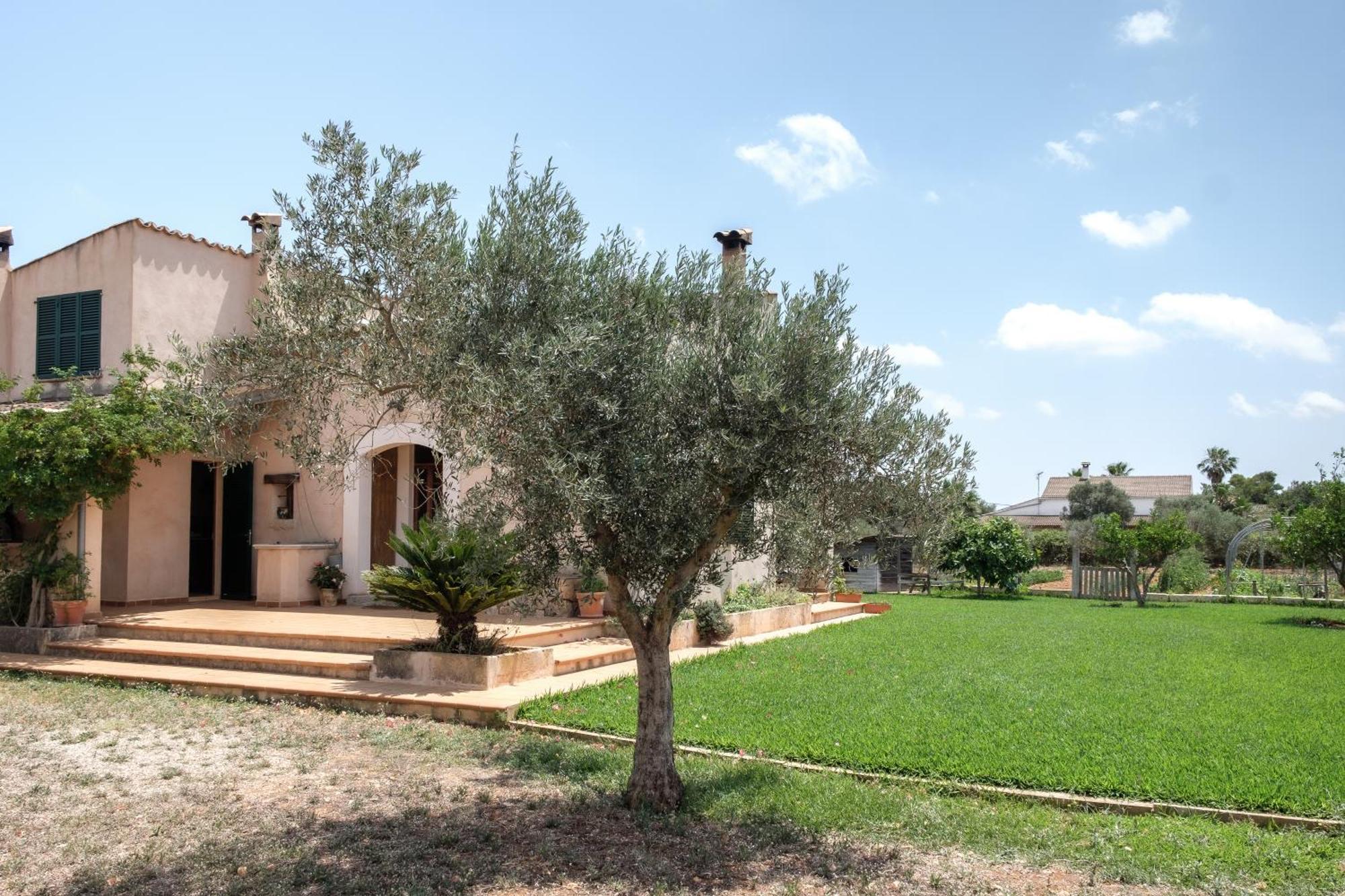Bonita Sa Vinya Relax Y Piscina Privada Holiday home