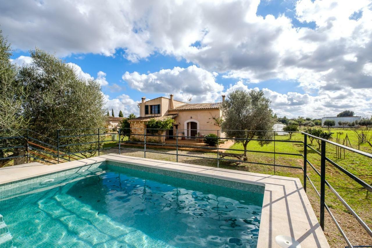 Bonita Sa Vinya Relax Y Piscina Privada Holiday home