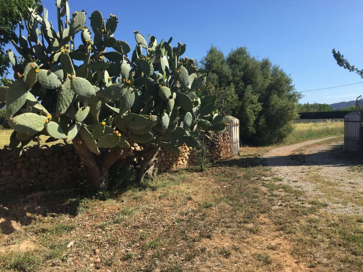 Holiday home Bonita Sa Vinya Relax Y Piscina Privada *