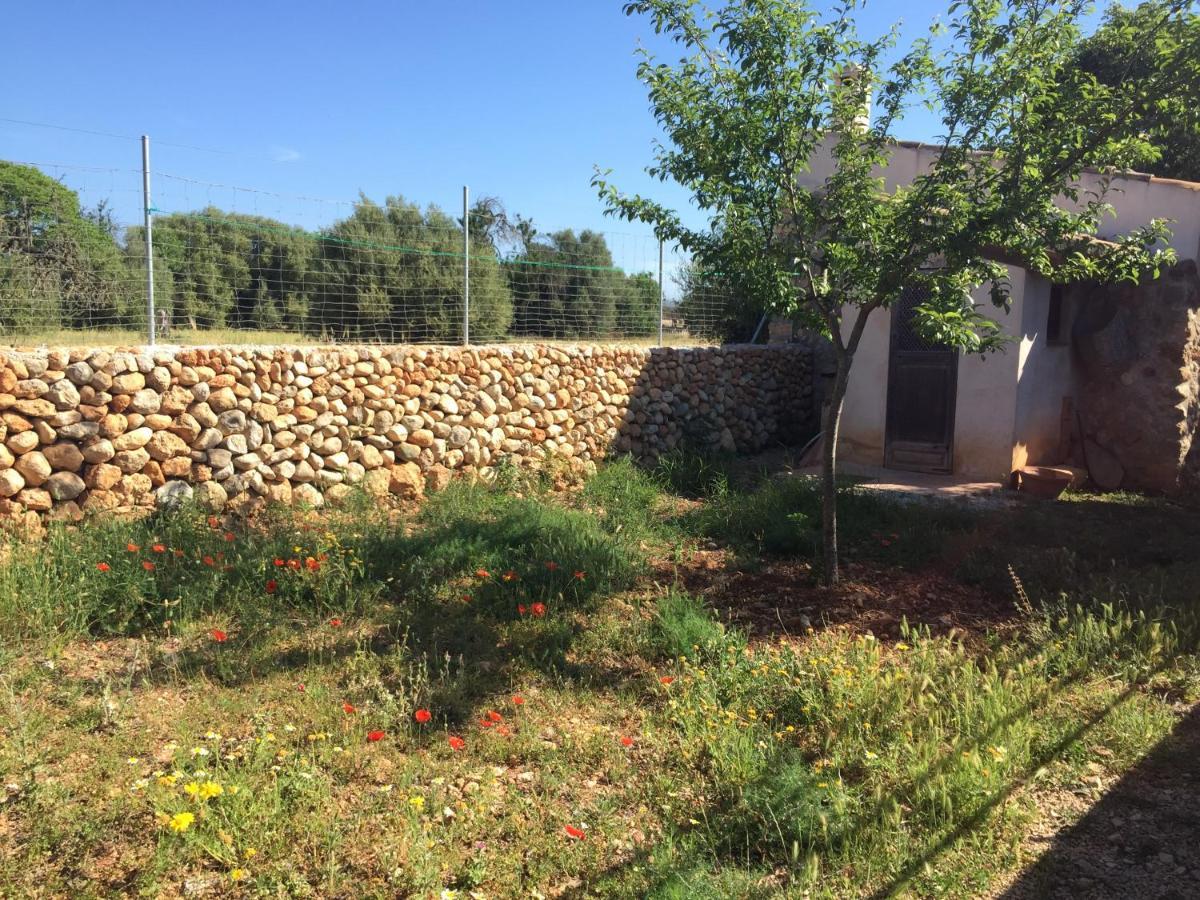 Holiday home Bonita Sa Vinya Relax Y Piscina Privada Inca (Mallorca)